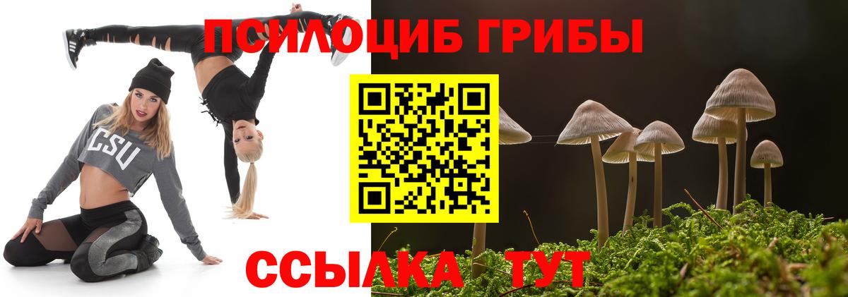 Галлюциногенные грибы прущие грибы  Псилоцибиновые грибы Cubensis  Нижнеудинск  Вход с VPN 
